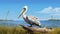 Realistic Pelican Illustration: Hyper-detailed Rendering For Storybooks And Games