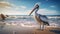 Realistic Pelican On Seashore Hyper-detailed Rendering In Cinema4d