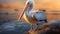 Realistic Pelican At Sunset: Hyper-detailed Renderings And Playful Character Design