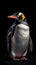 Realistic Penguin on Dark Background. Generative AI