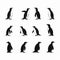Realistic Penguin Silhouette Icons Set For Logo Design