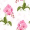 Realistic phalaenopsis moth orchid floral pattern