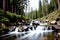 Realistic photo landscape of green tree forest and creek