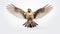 Realistic Photo Of Lark In Flight On White Background