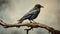 Realistic Photograph Of A Raven On A Branch