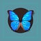 Realistic picture butterfly Morpho Didius. Vector art