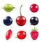 Realistic pictures of berries. Various fresh fruits