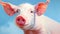 Realistic Pig Painting In Blue Sky - Stylized Portraits With Inventive Character Designs