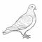 Realistic Pigeon Coloring Sheet On White Background