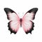 Realistic Pink And Black Butterfly Illustration On White Background