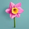 Realistic Pink Daffodil Vector Illustration On Light Blue Background