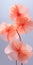 Realistic Pink Flowers: Hd Render With Translucent And Soft Forms