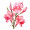 Realistic Pink Gladiolus Bouquet Illustration With Chinese Iconography