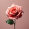 Realistic Pink Rose Sculpture On Pink Background