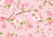 Realistic pink Sakura blossom seamless background. Japanese flowering cherry exotic texture. Spring flowers