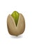 Realistic pistachio illustration, front of one cashew