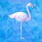 Realistic polygonal pink flamingo on a background of blue triangles.