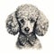 Realistic Poodle Tattoo With Bow Tie: Elegant Studio Portrait In Dark White And Silver