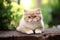 Realistic portrait of beautiful Persian cat