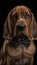 Realistic Portrait Illustration Art Showcasing Cute Bloodhound wearing bow tie (Generative AI)