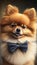 Realistic Portrait Illustration Art Showcasing Cute Pomeranian wearing bow tie (Generative AI)