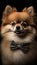 Realistic Portrait Illustration Art Showcasing Cute Pomeranian wearing bow tie (Generative AI)