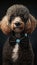 Realistic Portrait Illustration Art Showcasing Cute Poodle wearing bow tie (Generative AI)