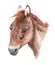 Realistic portrait of mongolian wild horse