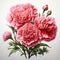 Realistic Portrait Of Pink Carnations On White Background