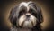 Realistic portrait of Shih Tzu dog. AI generated