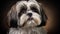Realistic portrait of Shih Tzu dog. AI generated