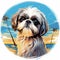 Realistic Portrait Of Shih Tzu At Surfers Paradise Beach