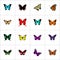 Realistic Purple Monarch, Tropical Moth, Callicore Cynosura And Other Vector Elements. Set Of Butterfly Realistic