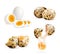 Realistic Quail Eggs Set