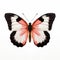 Realistic Red, Black, And White Butterfly On White Background