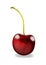 Realistic red cherry illustration, front of one fruit