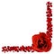 realistic red rose and petals border, flower vector illustration