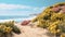 Realistic Renderings Of Coastal Scenes With Dunes And Flowers