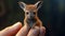 Realistic Renderings Of Tiny Baby Kangaroos In Unreal Engine 5