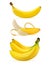 Realistic ripe bananas isolated on a white background.
