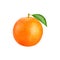 Realistic ripe orange citrus sun-kissed fruit