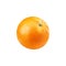 Realistic ripe orange whole citrus 3d vector fruit