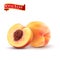 Realistic Ripe peaches, whole and slice. Peach juicy sweet fruit realistic 3d vector