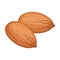 Realistic roasted almonds against white background - Vector