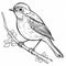 Realistic Robin Coloring Pages For Children\\\'s Coloring Book