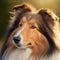 Realistic rough collie with fluffy hair portrait at ravishing nature outdoor.