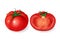 realistic round tomato vegetable