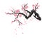 Realistic sakura blossom - Japanese cherry tree isolated.
