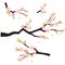 Realistic sakura japan cherry branch with blooming flowers