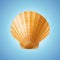 Realistic scallop seashell, isolated background